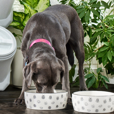 feeding bowls