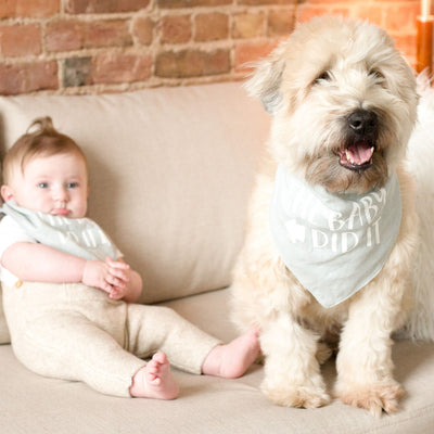 dog lover