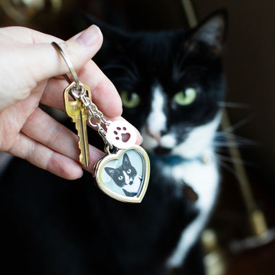 cat lover