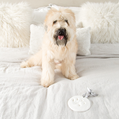 pet keepsakes