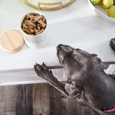 good dog treat jar