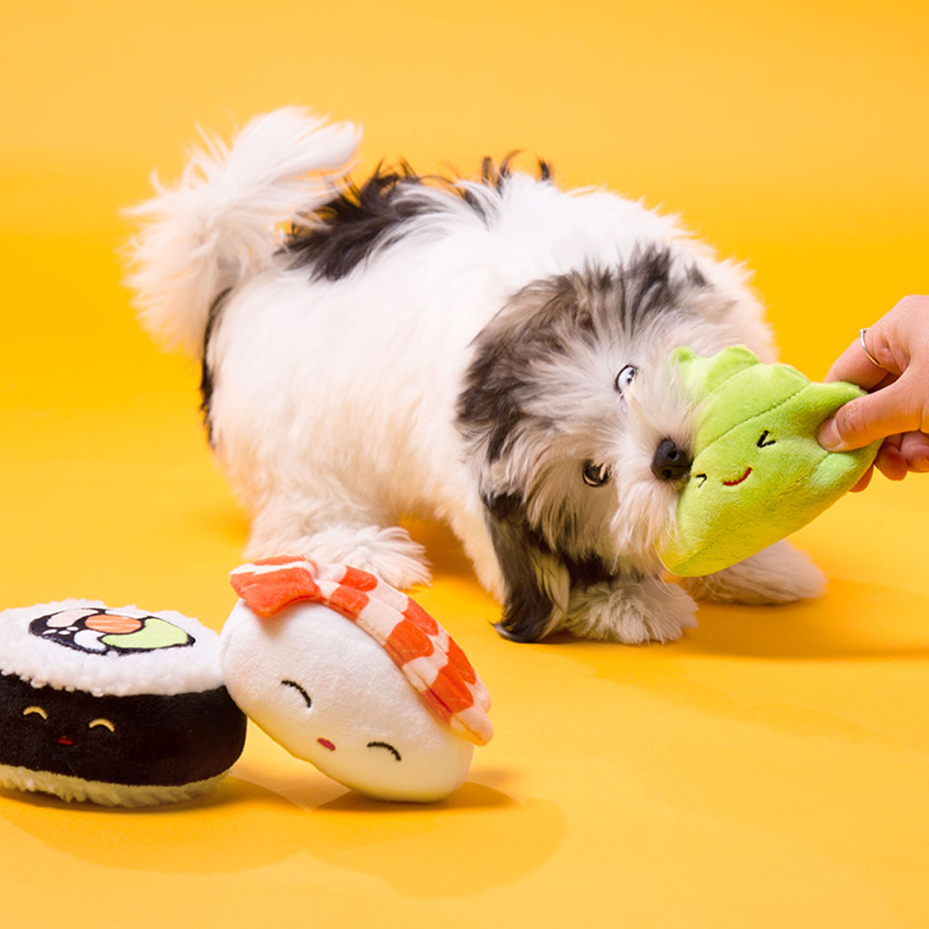 Pearhead's sushi dog toy set