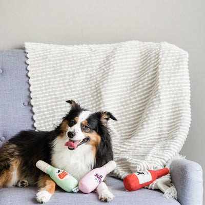 Pearhead's happy hour dog toy set