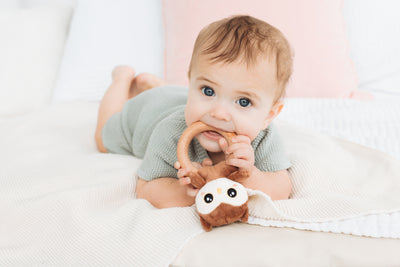 owl wooden teether